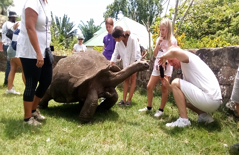 turtle in domaine de fontenay