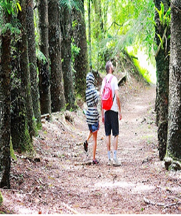 guest visiting amber mountain