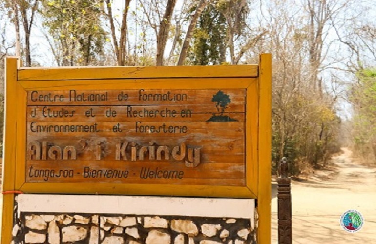 kirindy forest entry